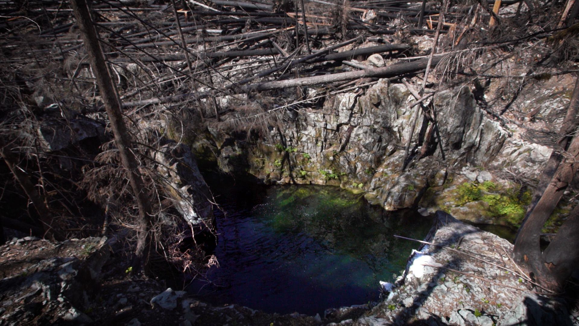 Opal creek shop wilderness hike