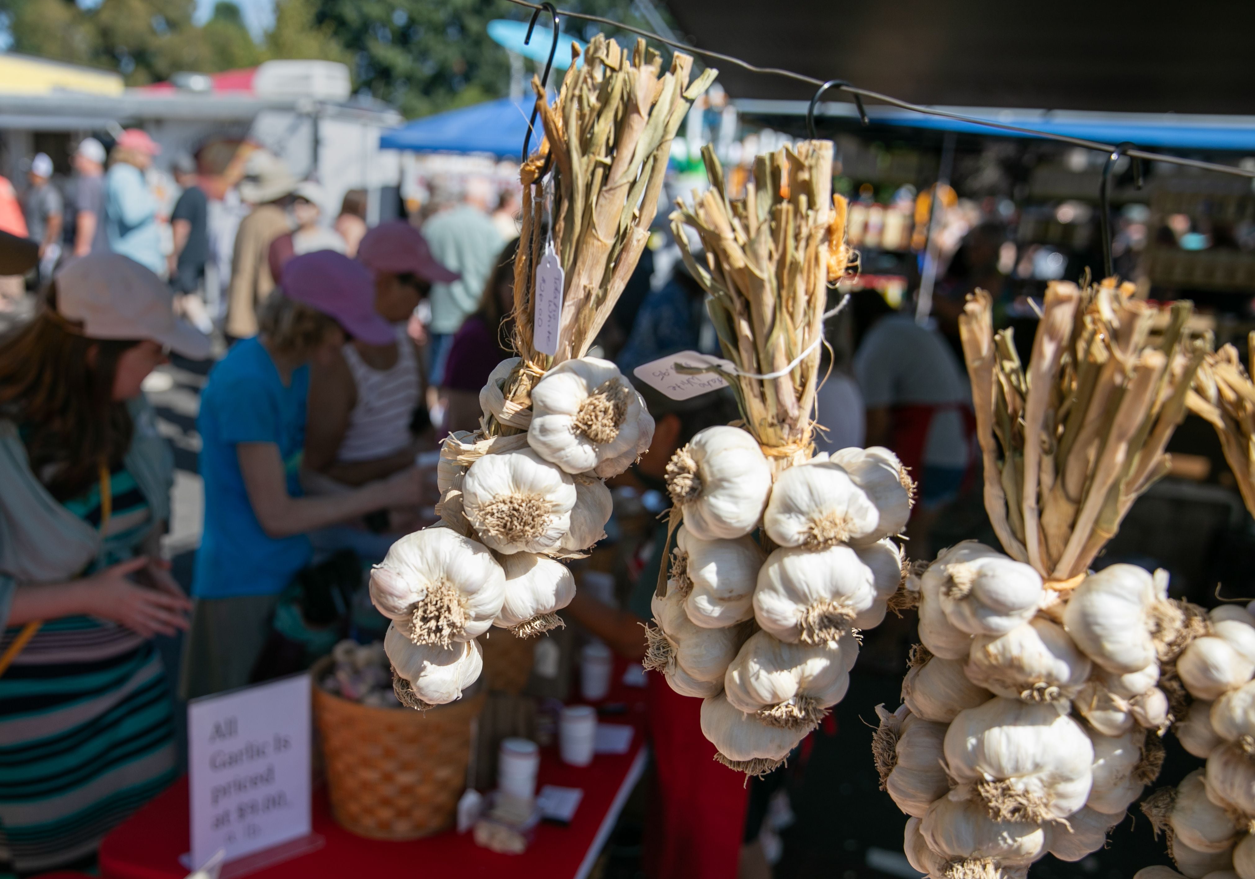 Garlic festival on sale